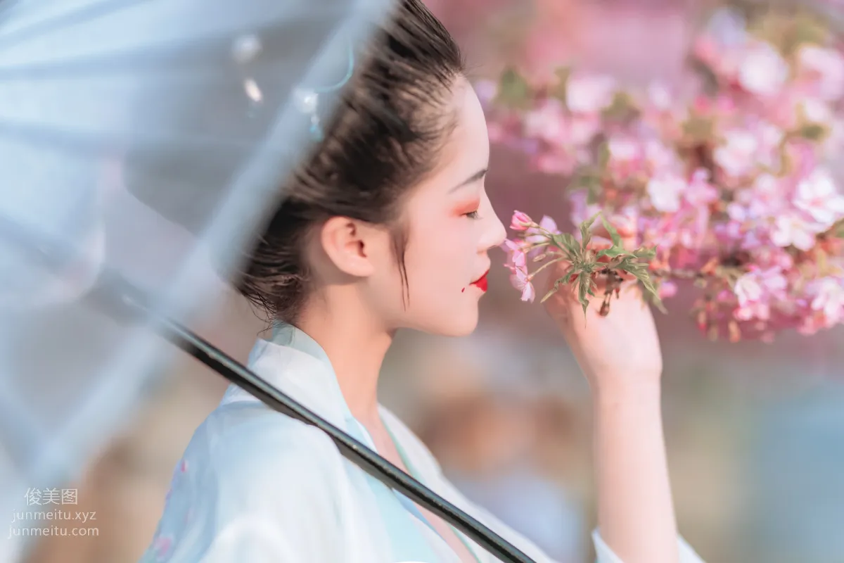 [YiTuYu] 2022.06.27 Cherry Blossom Beauty Xi Shuaiya photo 23