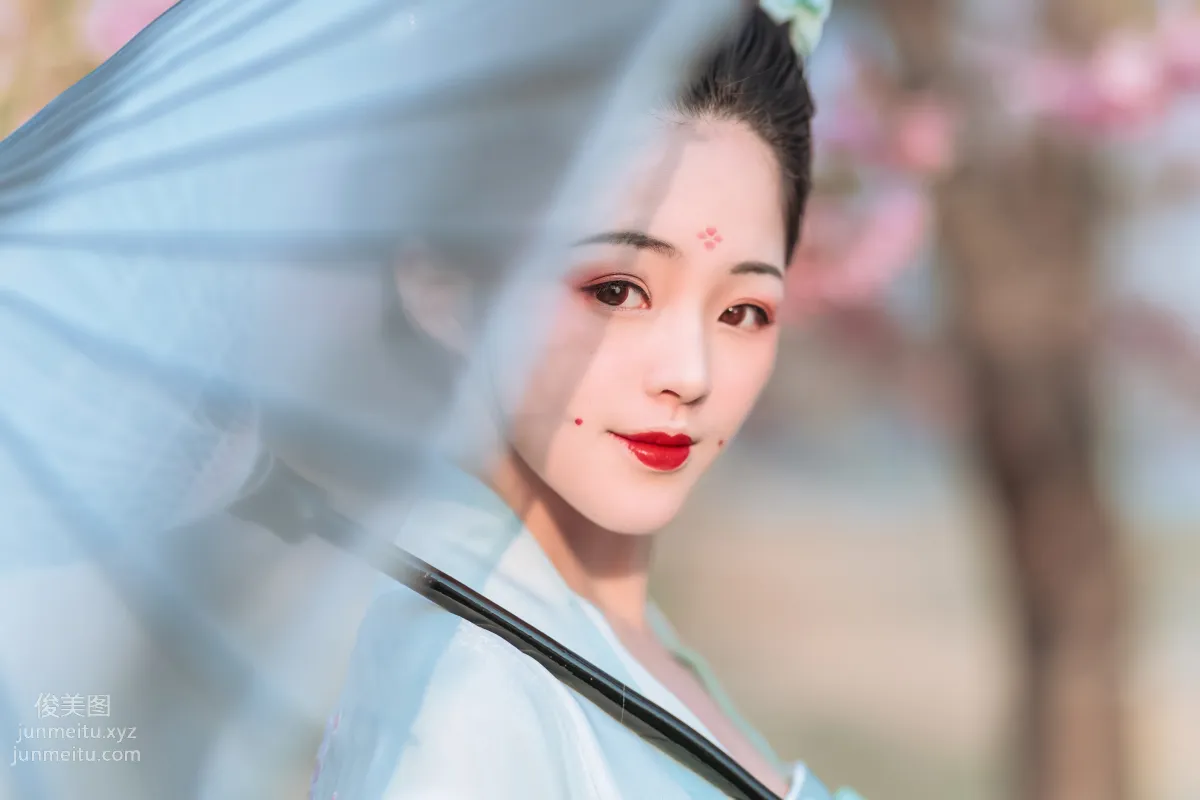 [YiTuYu] 2022.06.27 Cherry Blossom Beauty Xi Shuaiya photo 26