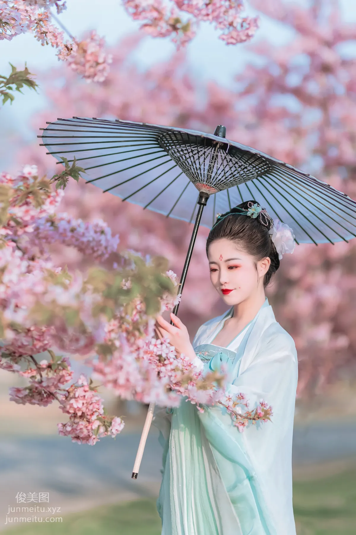 [YiTuYu] 2022.06.27 Cherry Blossom Beauty Xi Shuaiya photo 31