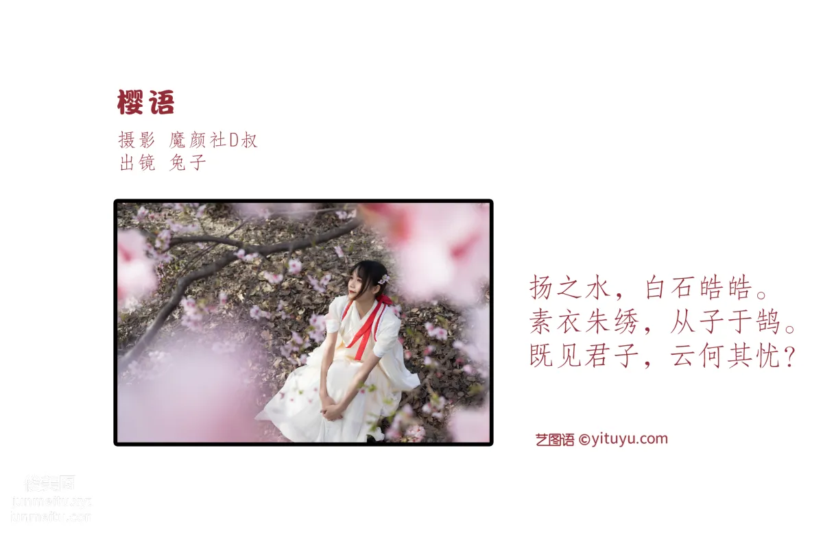 [藝圖語] 2022.06.30 櫻語 兔子Zzz不吃胡蘿蔔 2