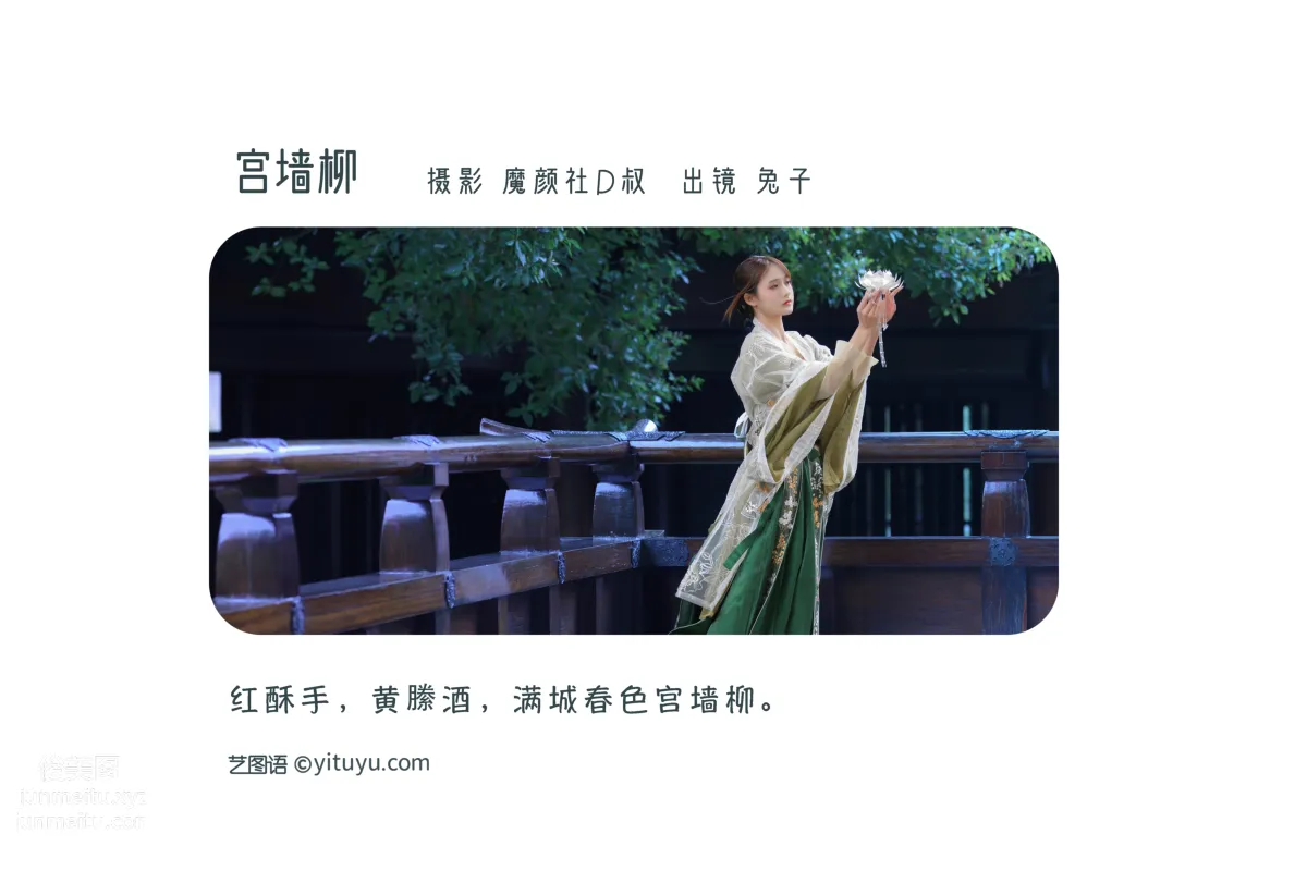[藝圖語] 2022.07.02 宮牆柳 兔子Zzz不吃胡蘿蔔 2