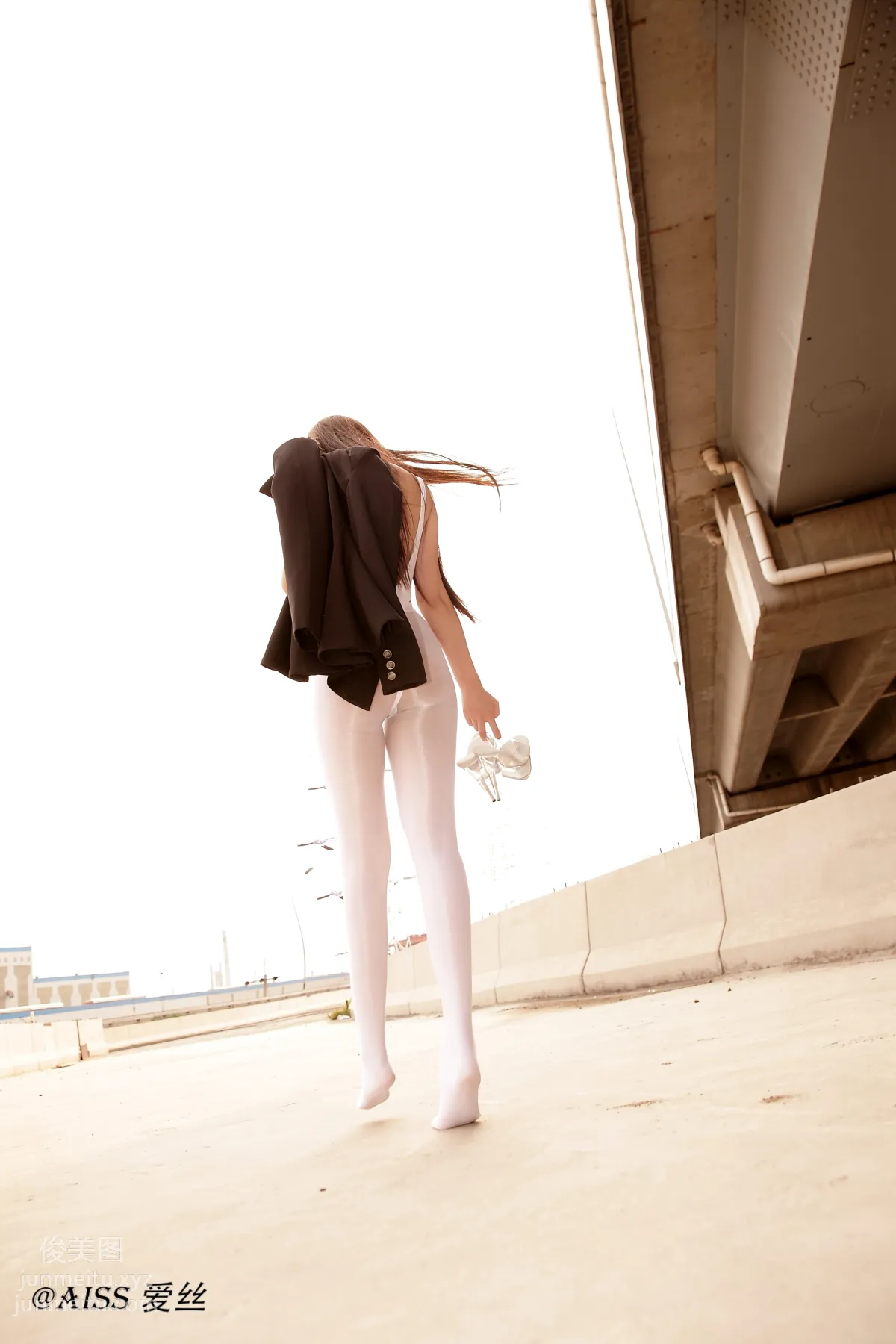 AISS No. 4027 photo 24