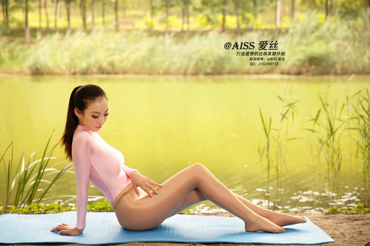 AISS No. 4028 photo 33