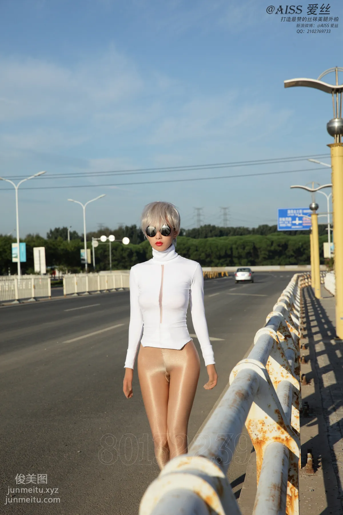 AISS No. 4031 photo 87