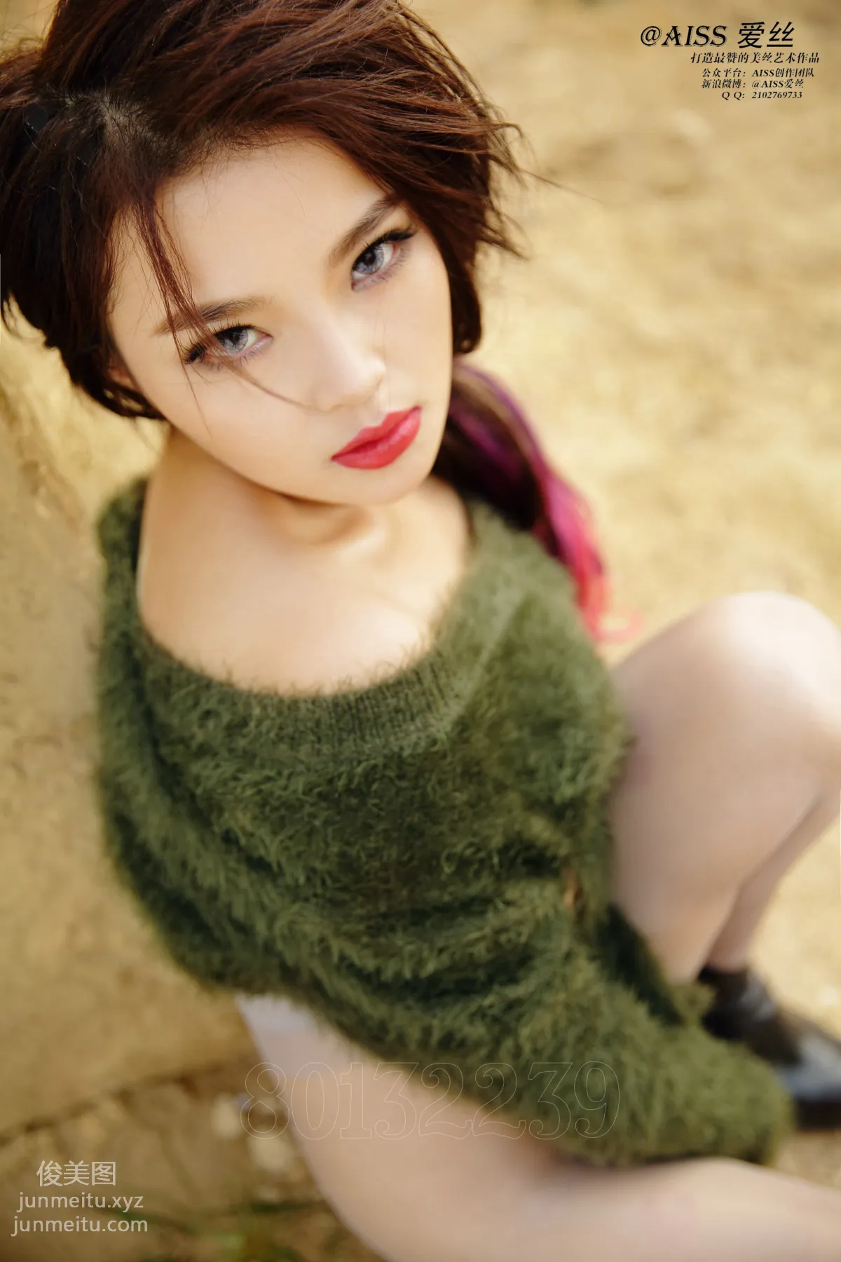 AISS Gold Member Version 4032, Follow Me photo 14