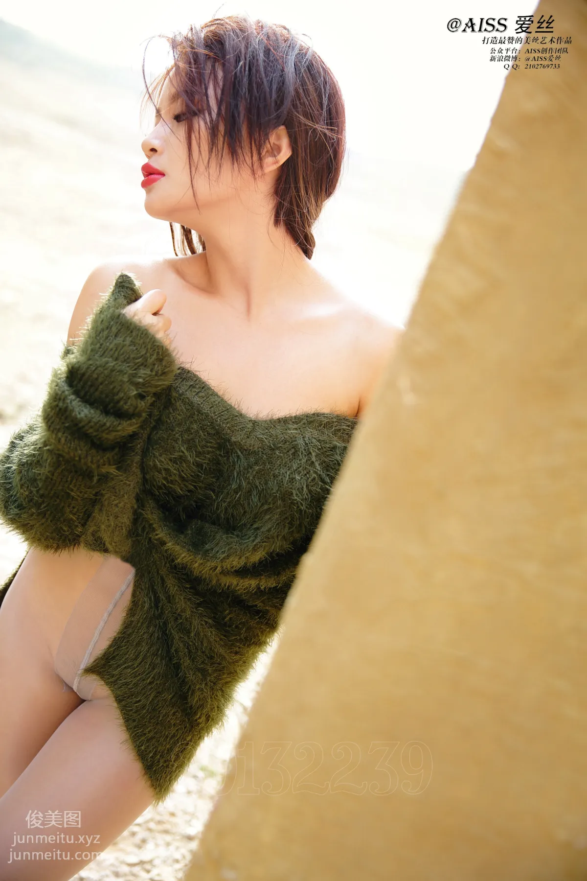 AISS Gold Member Version 4032, Follow Me photo 29