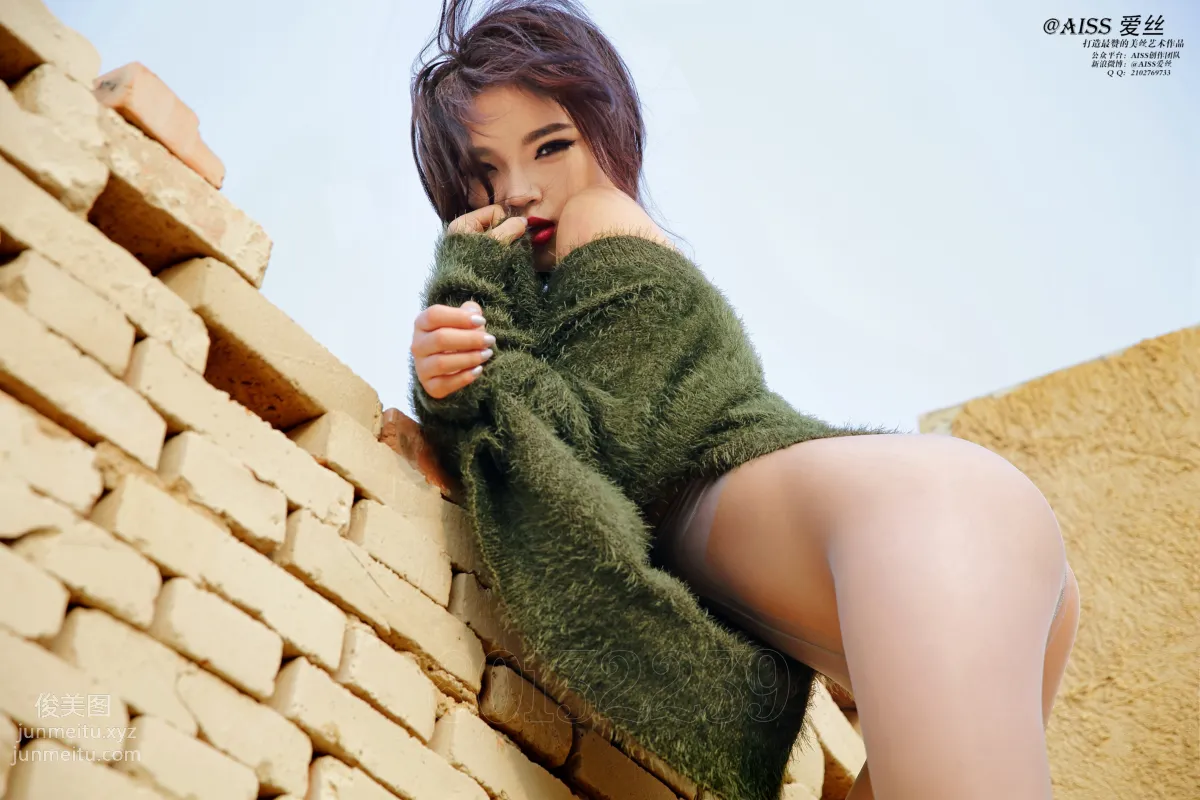 AISS Gold Member Version 4032, Follow Me photo 50