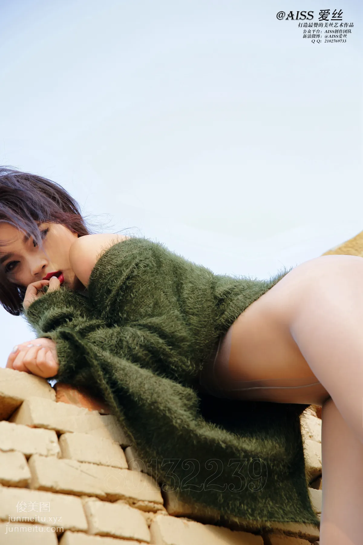 AISS Gold Member Version 4032, Follow Me photo 51
