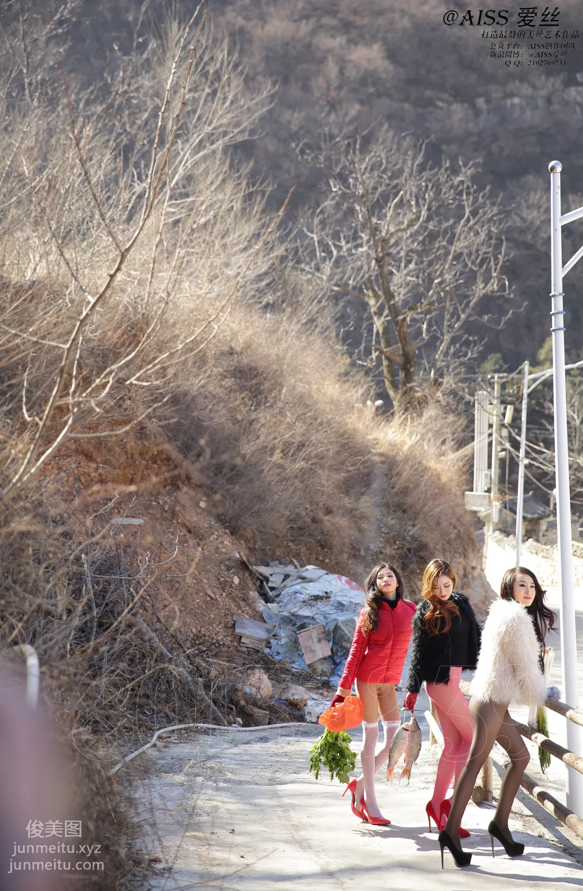 AISS No. 5005 photo 4