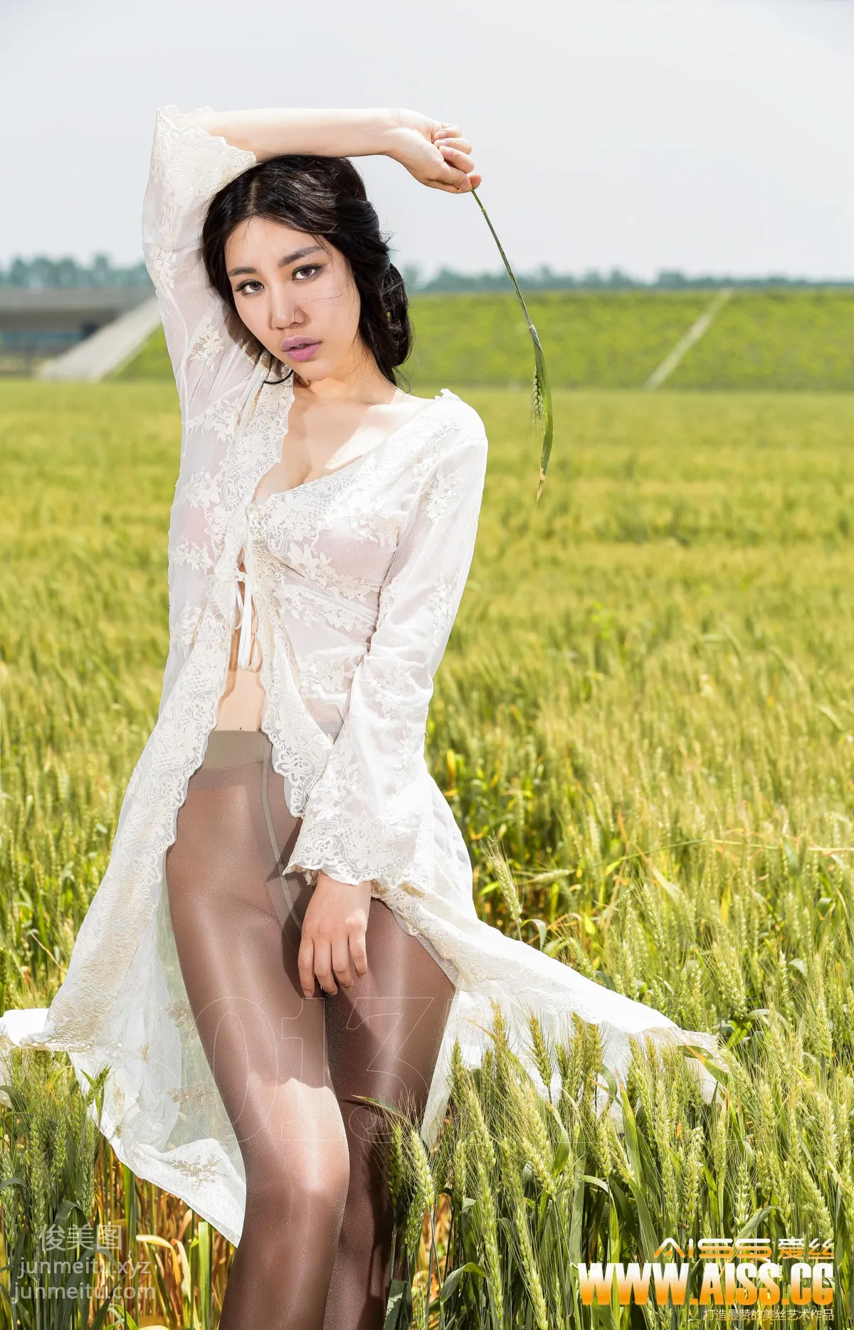 AISS No. 5019 photo 4