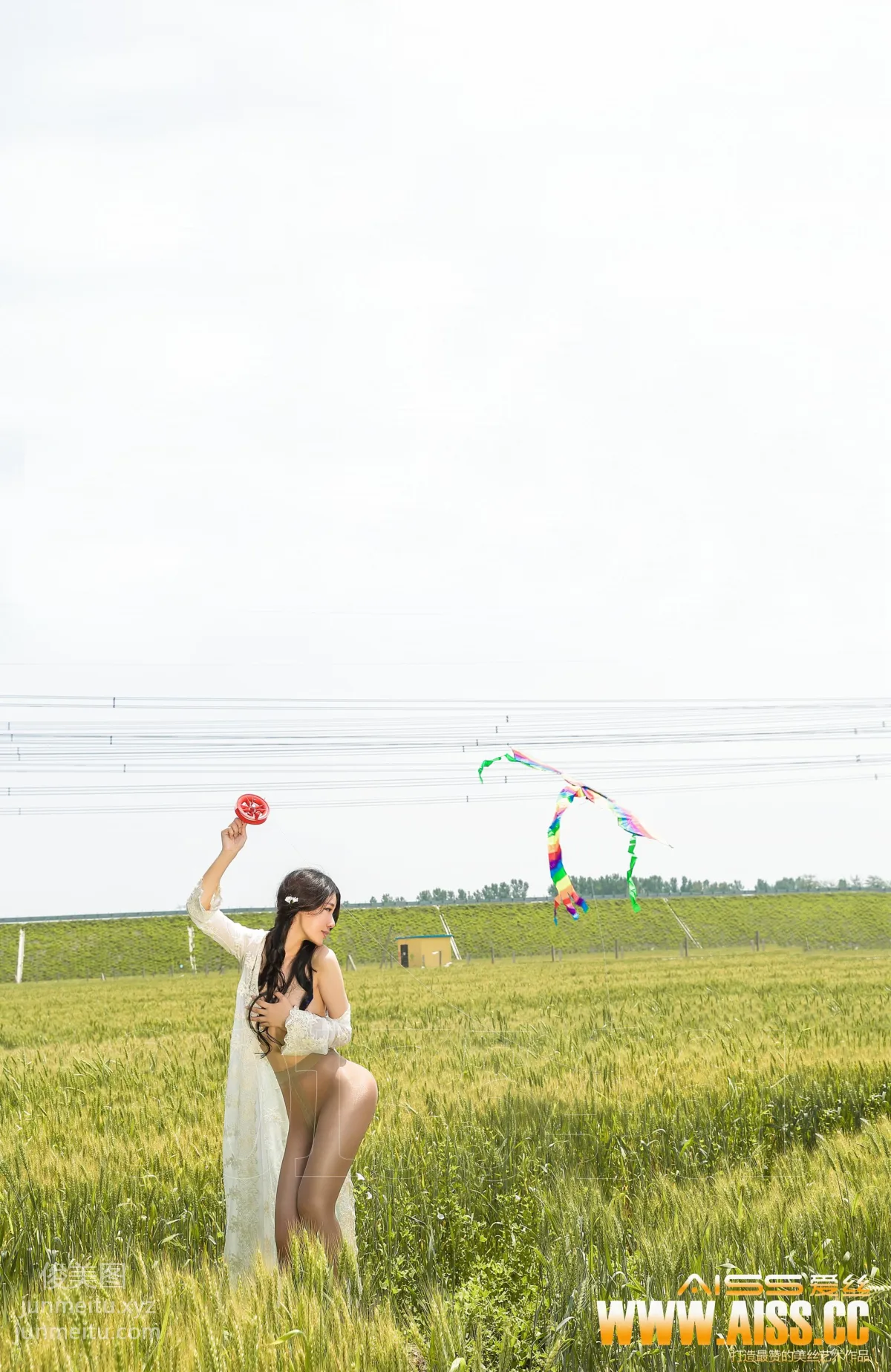 AISS No. 5019 photo 9