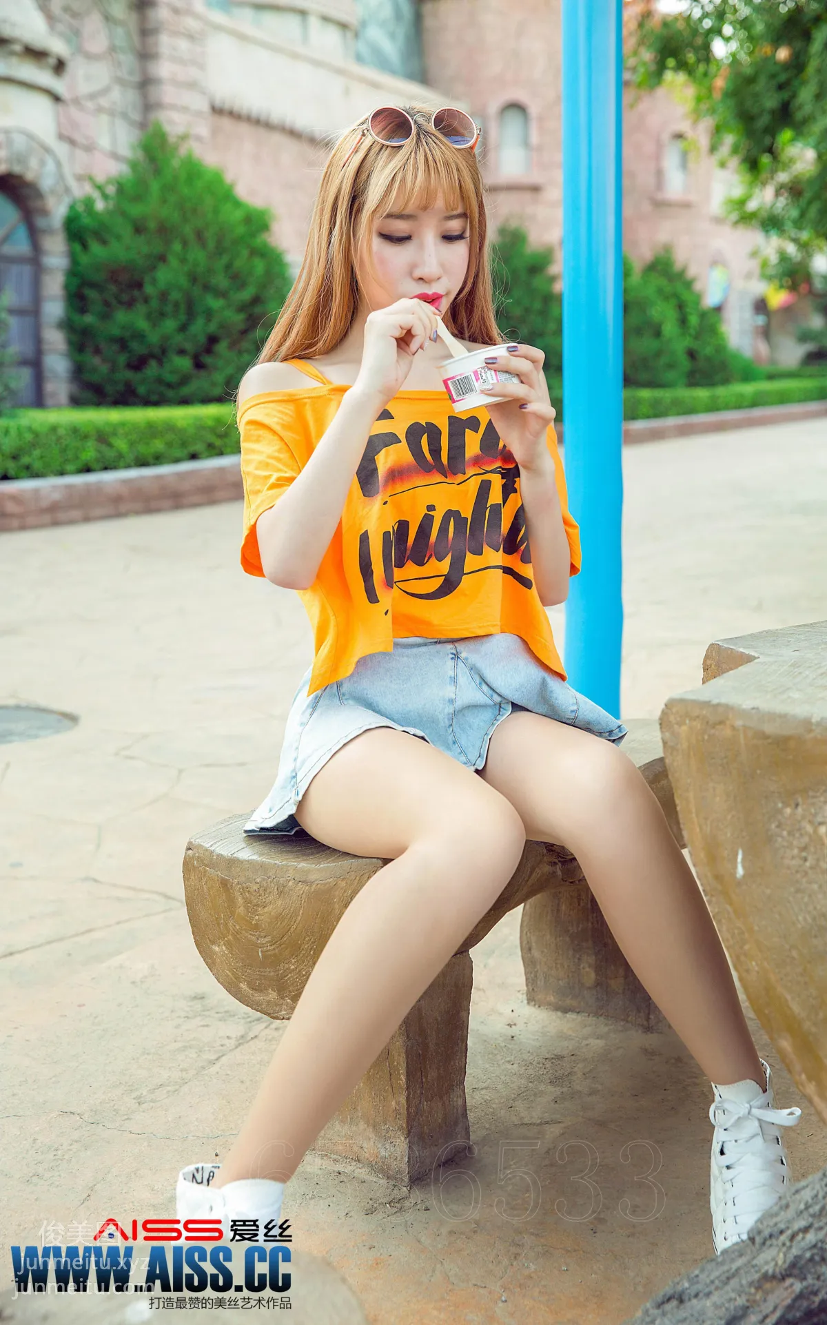 AISS F5032 photo 18