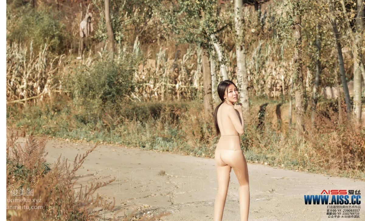 AISS F6010 photo 86
