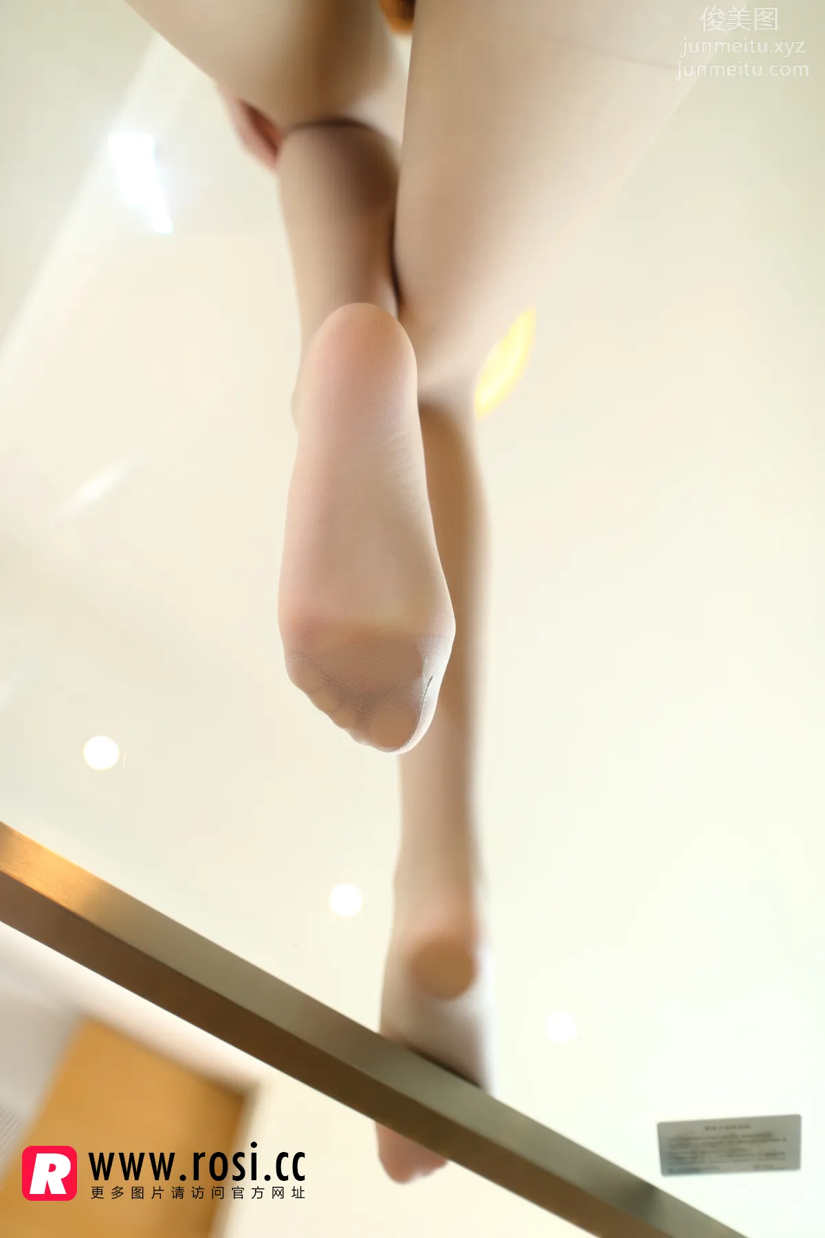 ROSI No. 1035 photo 22