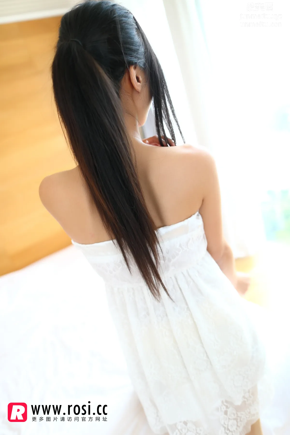 ROSI No. 1065 photo 6