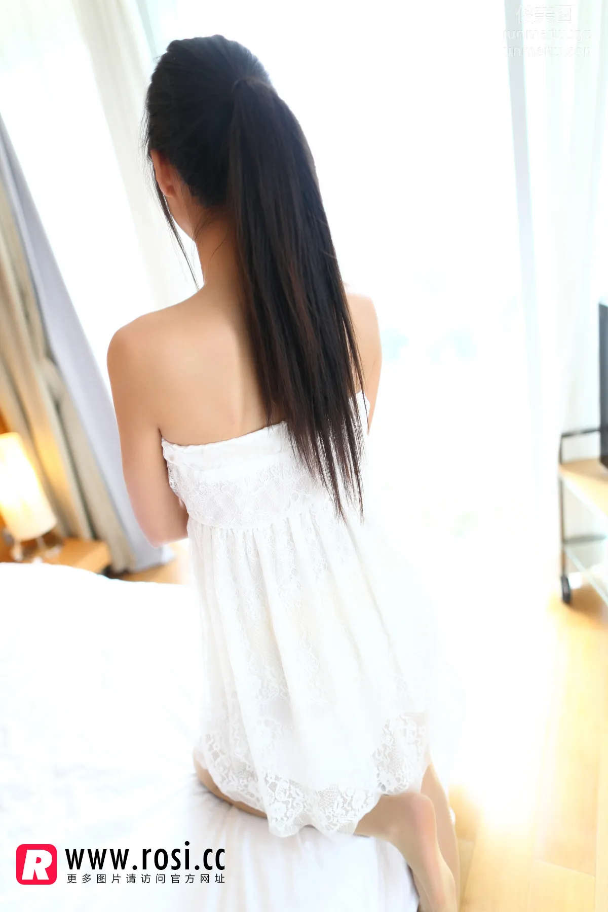ROSI No. 1065 photo 3