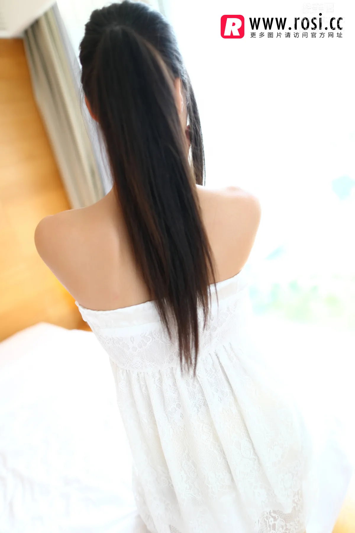 ROSI No. 1065 photo 5
