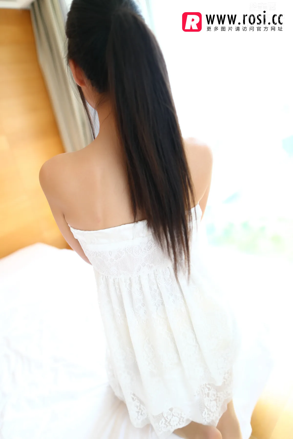 ROSI No. 1065 photo 4