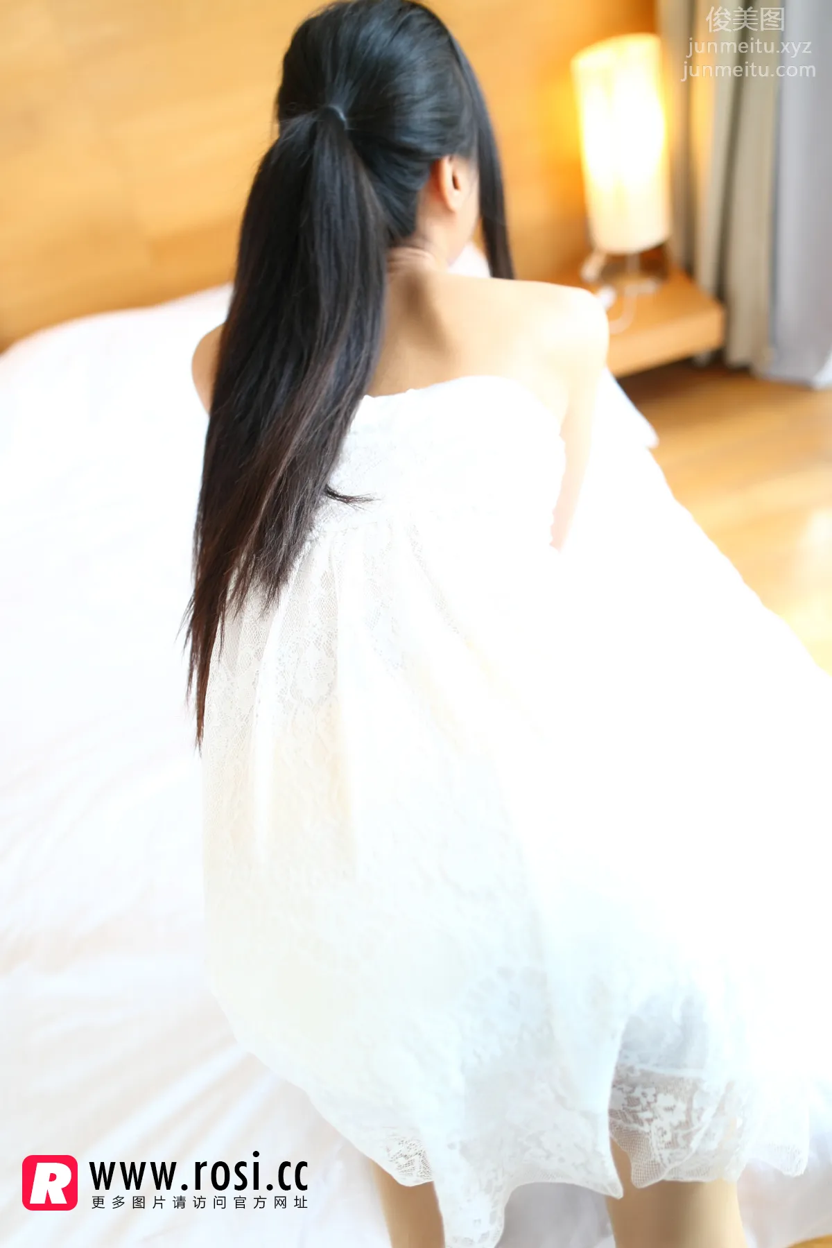 ROSI No. 1065 photo 7