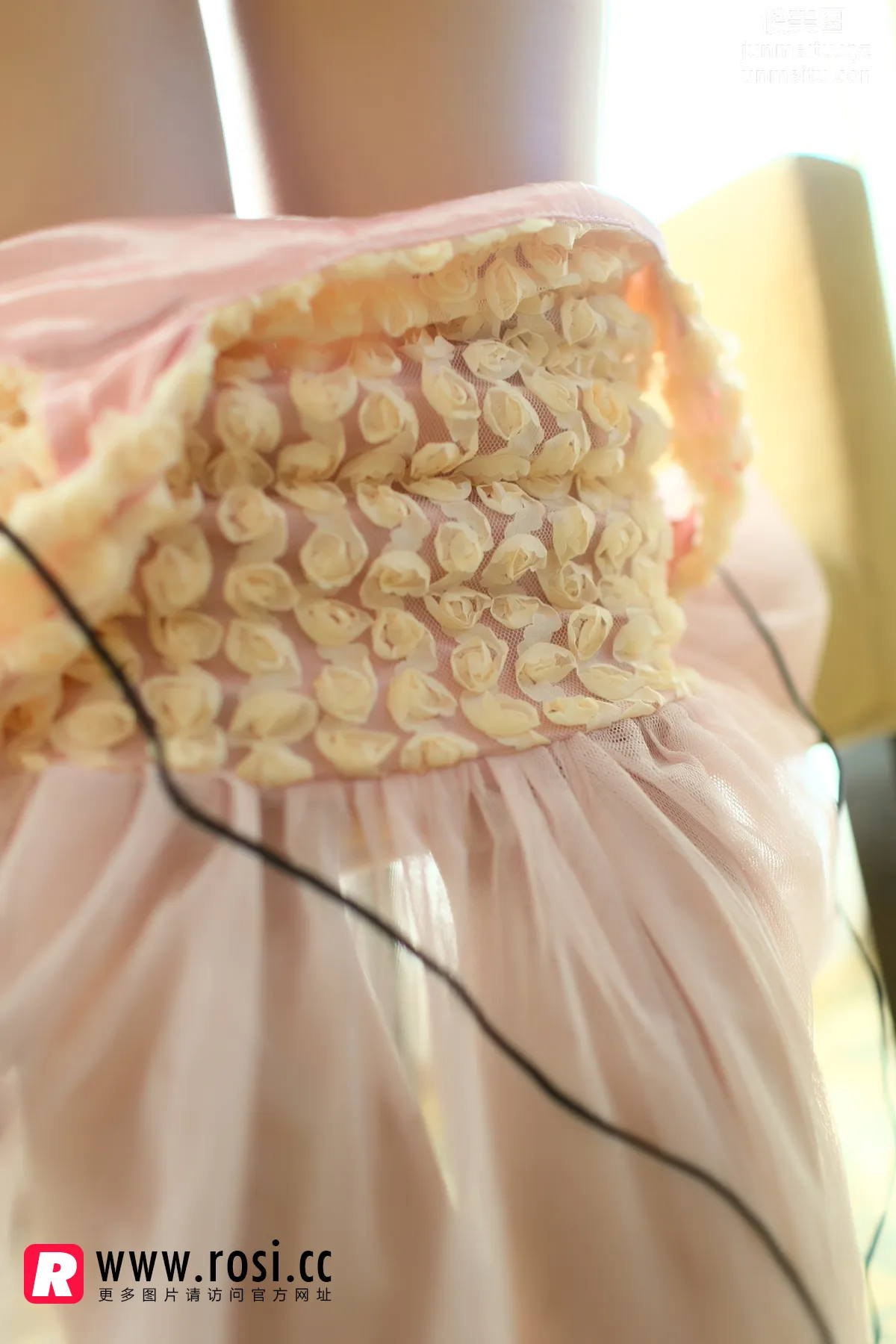 ROSI No. 1126 photo 27