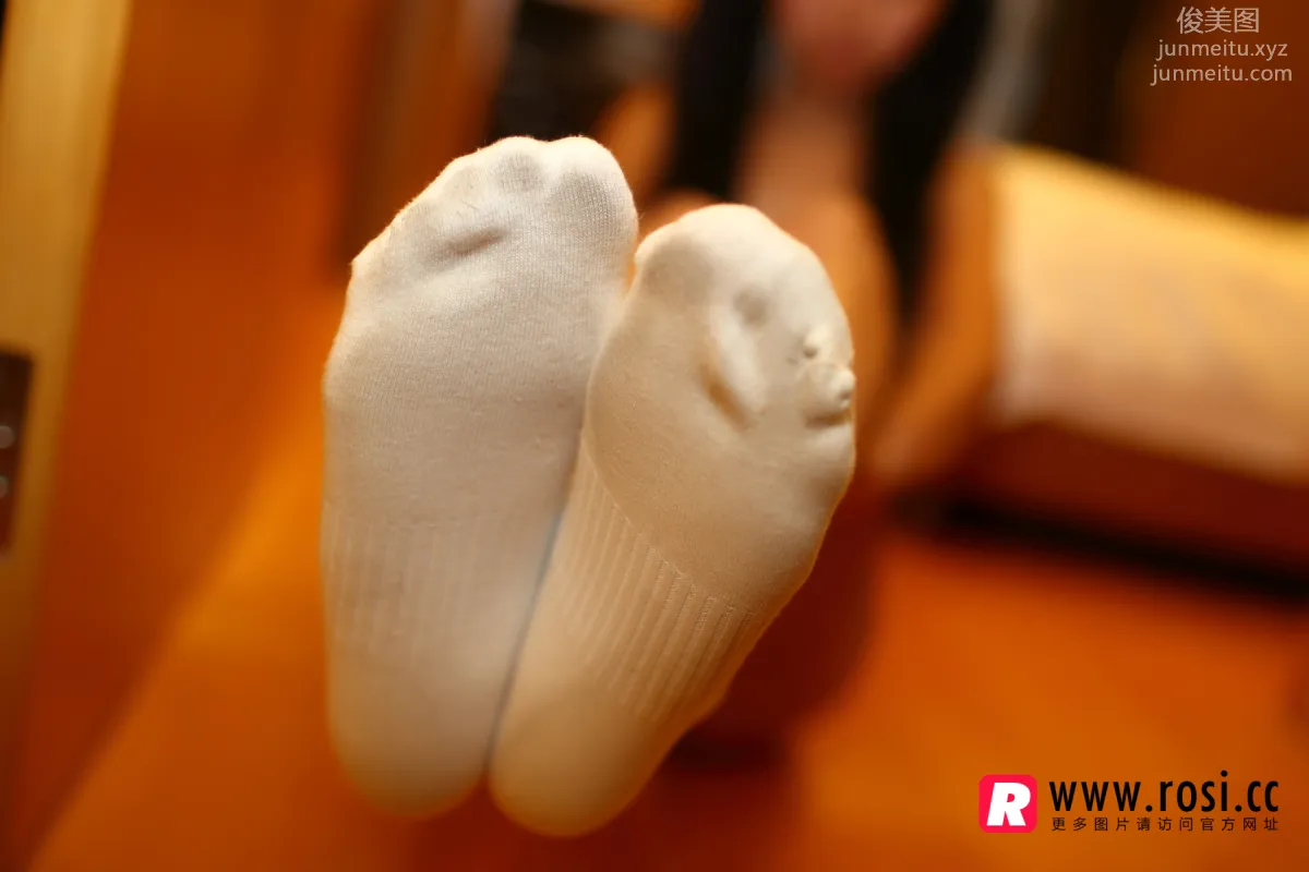 ROSI No. 1233 photo 6