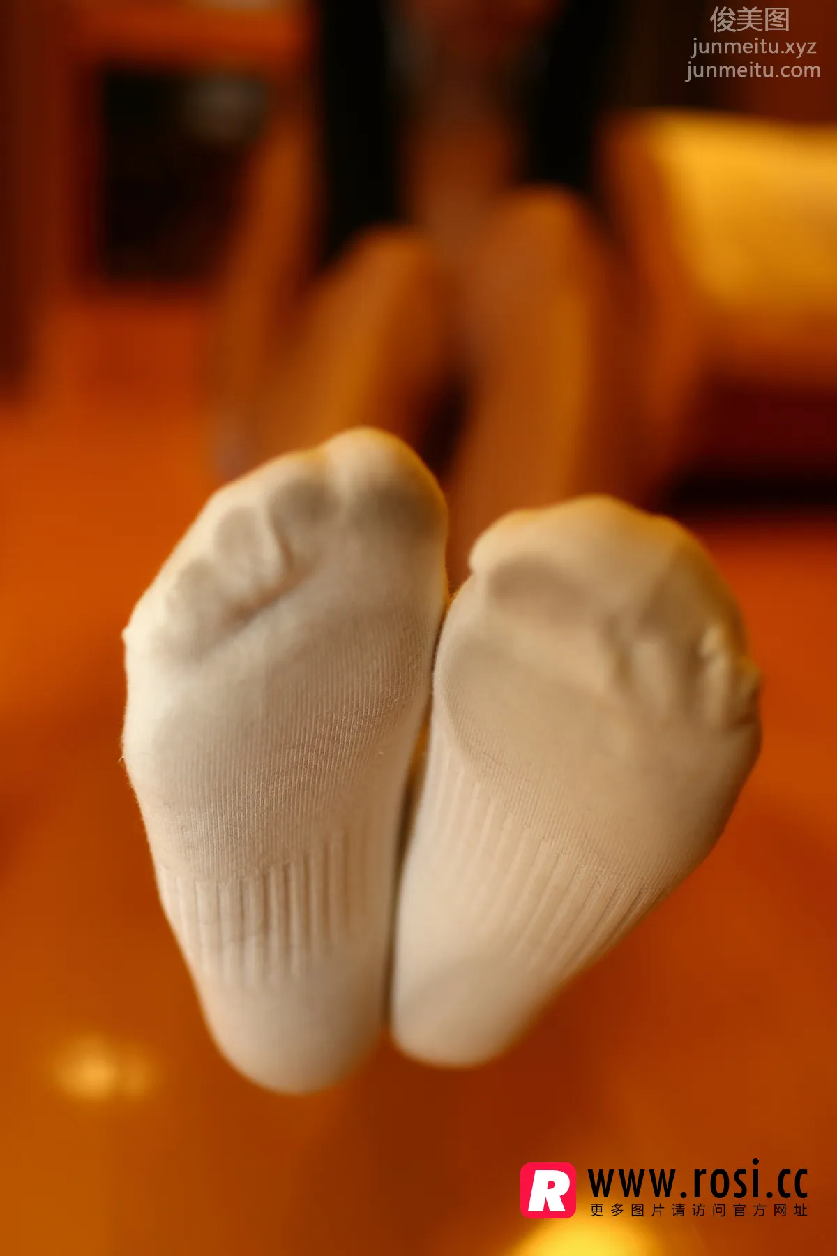 ROSI No. 1233 photo 7