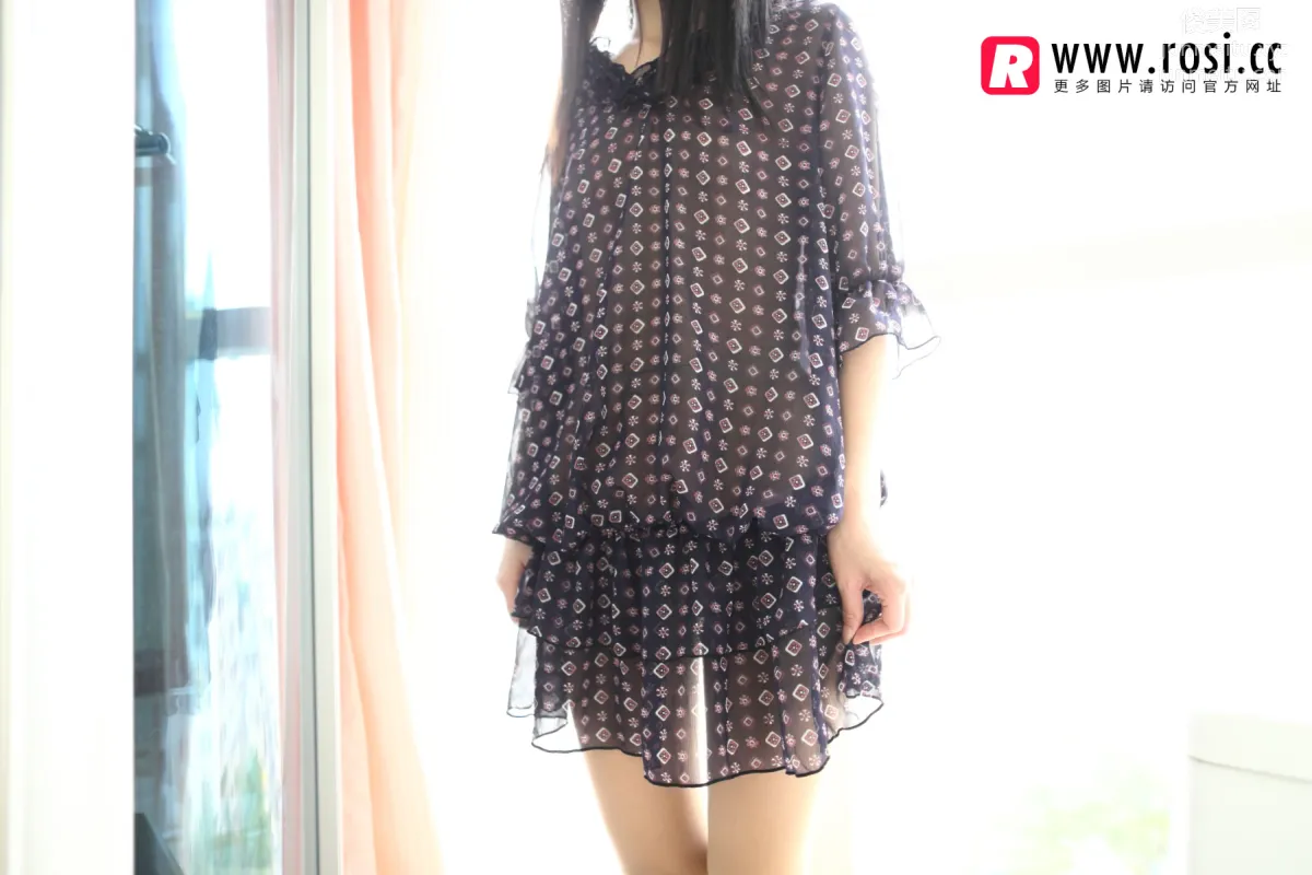 ROSI No. 1291 photo 7