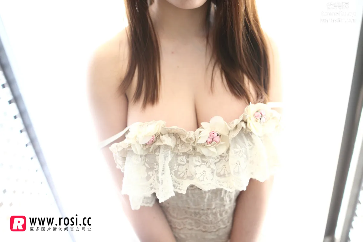 ROSI No. 1331 photo 2