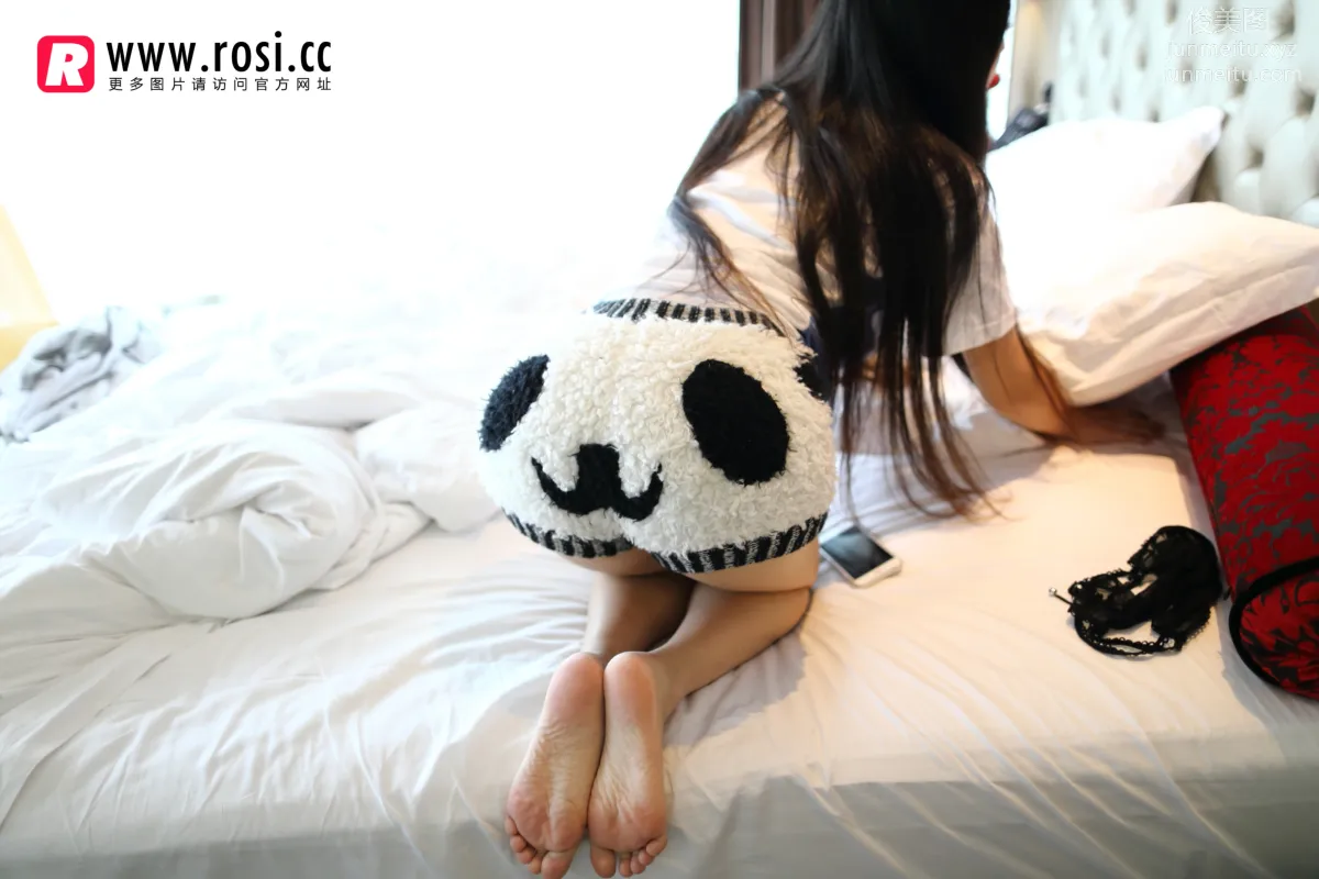 ROSI No. 1387 photo 7