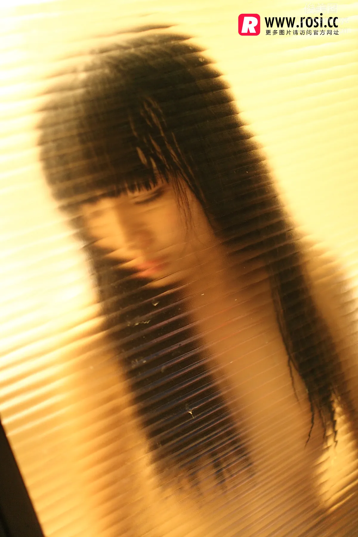 ROSI No. 1468 photo 34