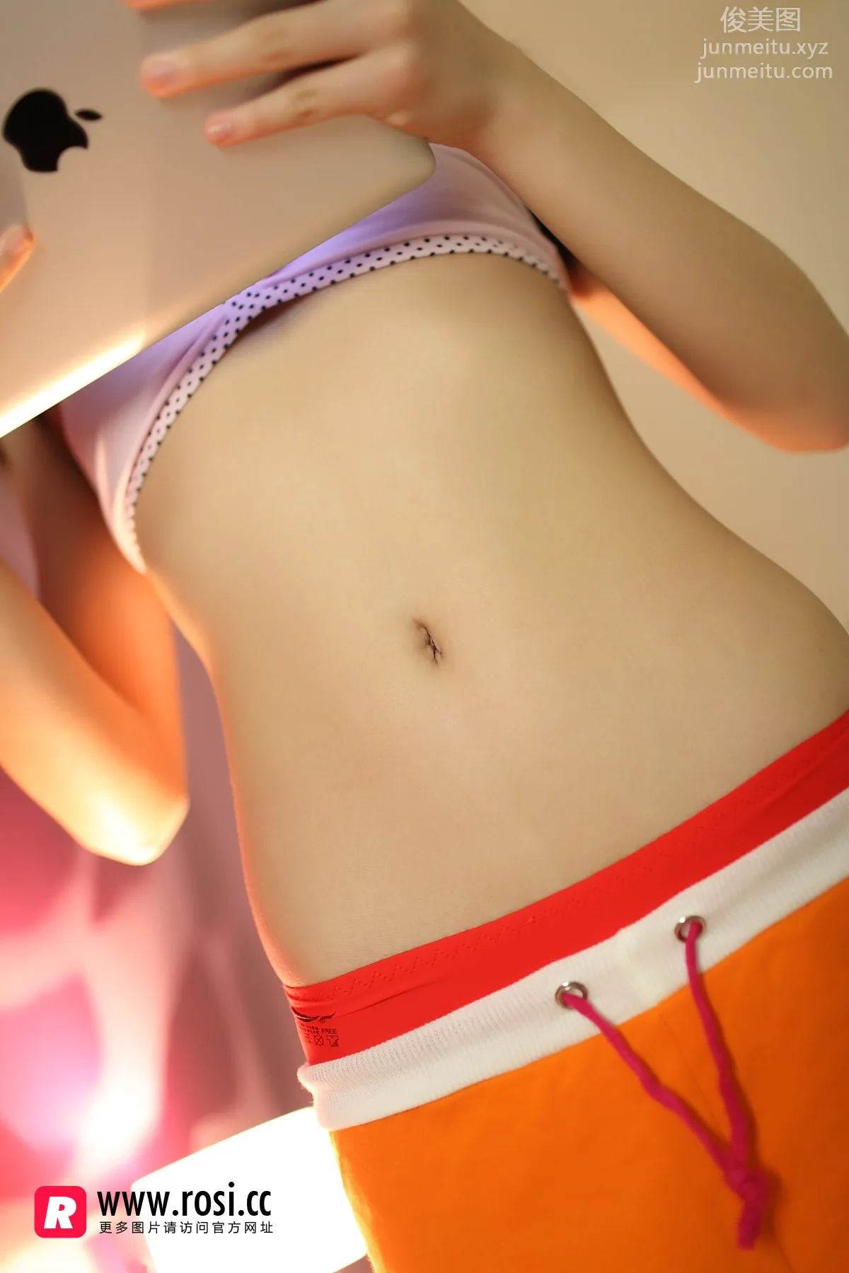ROSI No. 1799 photo 8