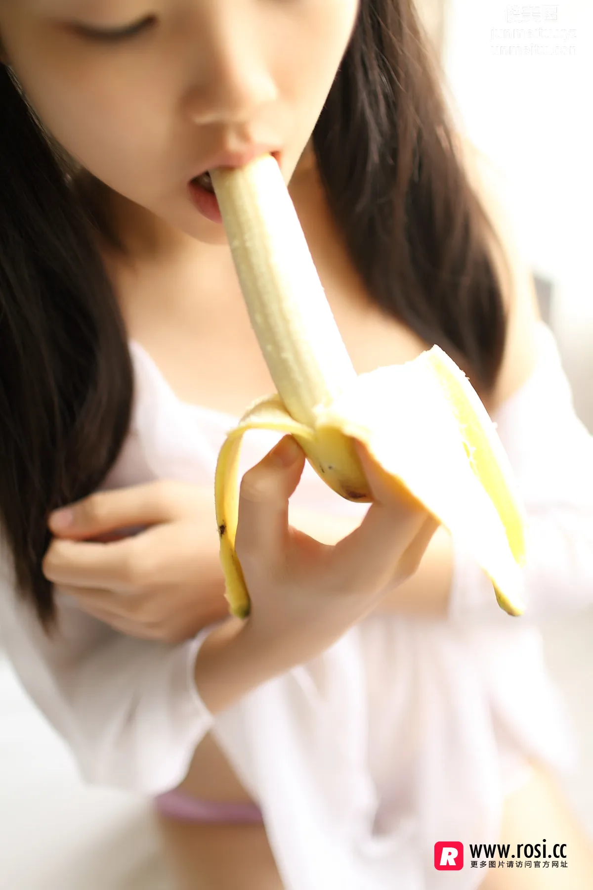 ROSI No. 1989 photo 7