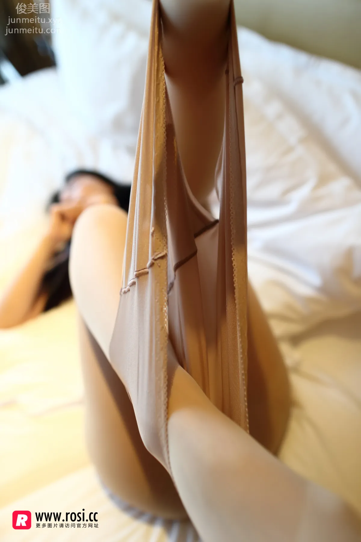 ROSI No. 2013 photo 30