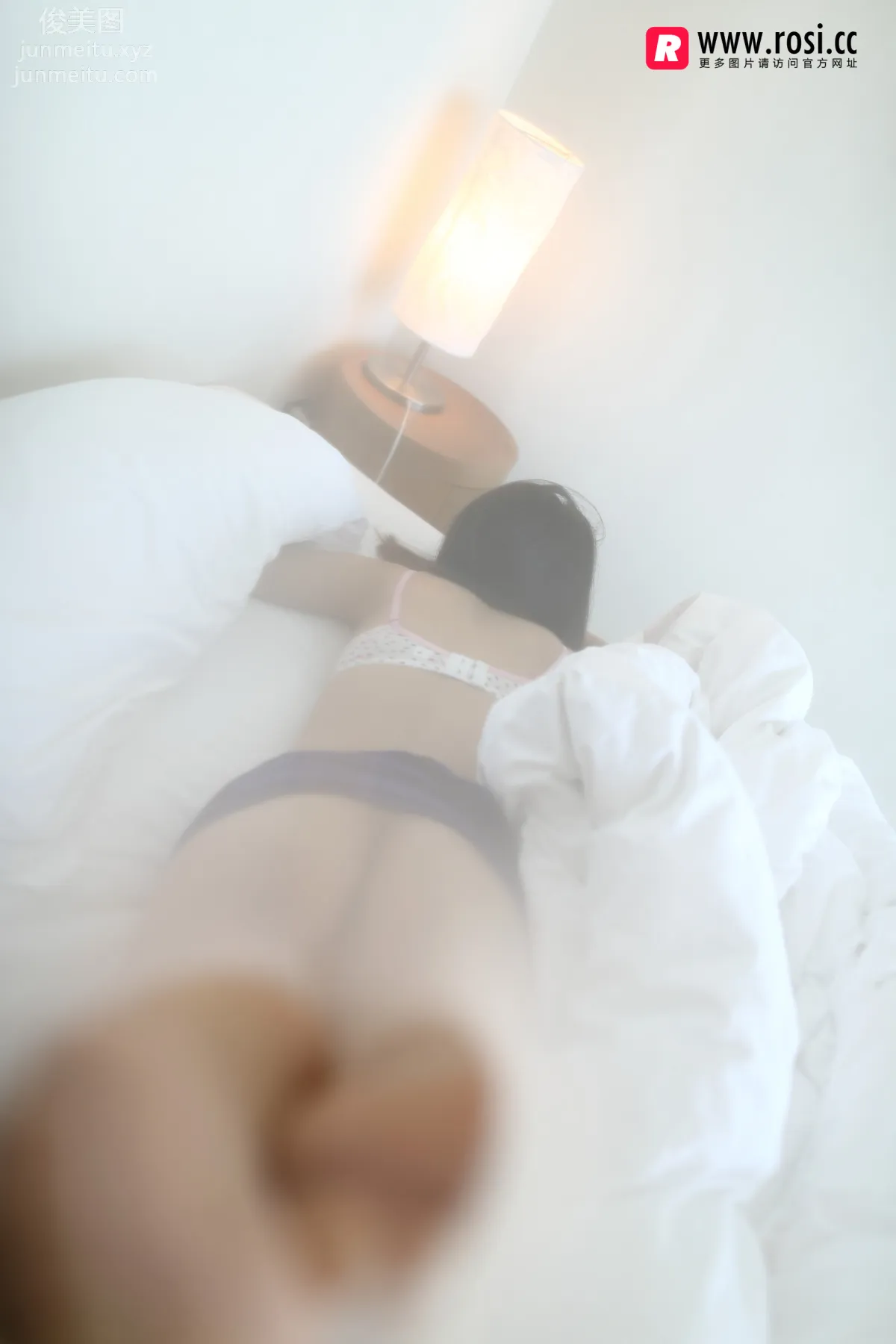 ROSI No. 2057 photo 42
