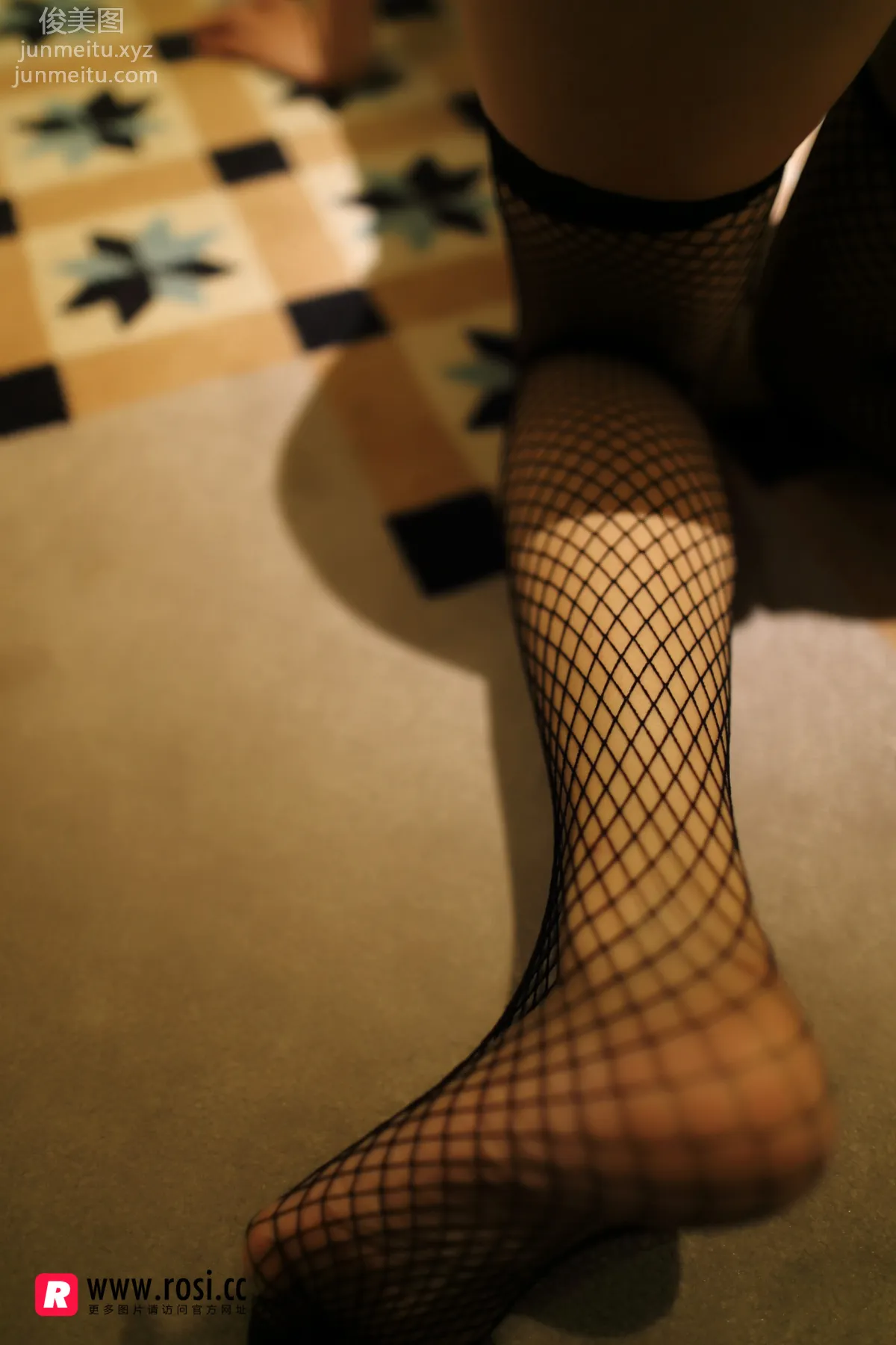 ROSI No. 2060 photo 16