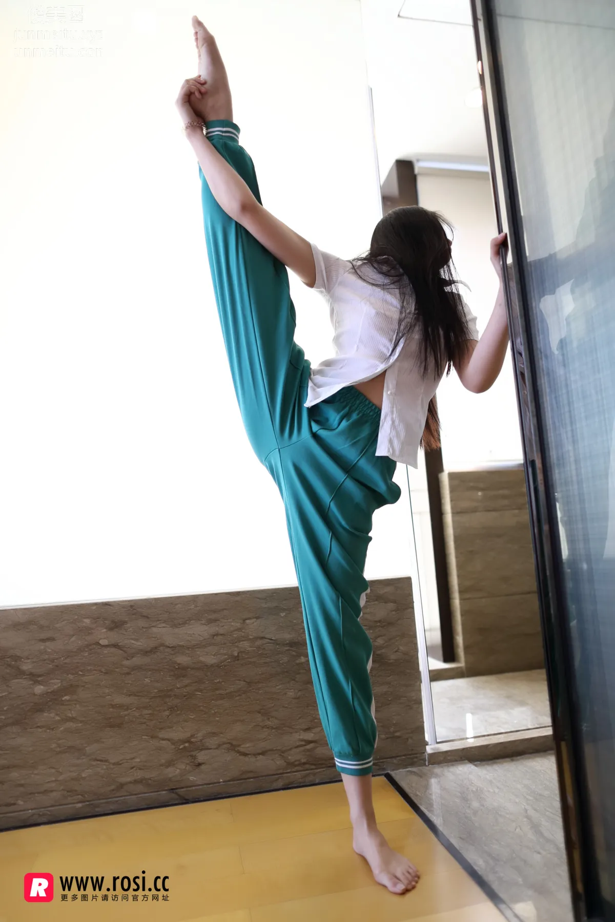 ROSI No. 2071 photo 18