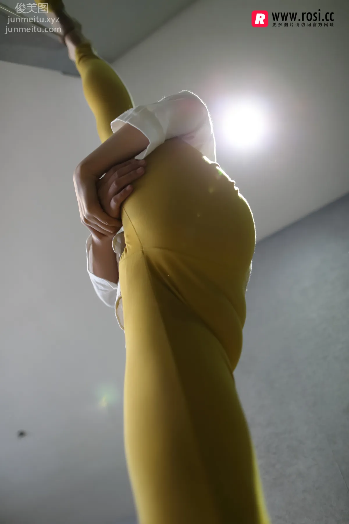 ROSI No. 2143 photo 6