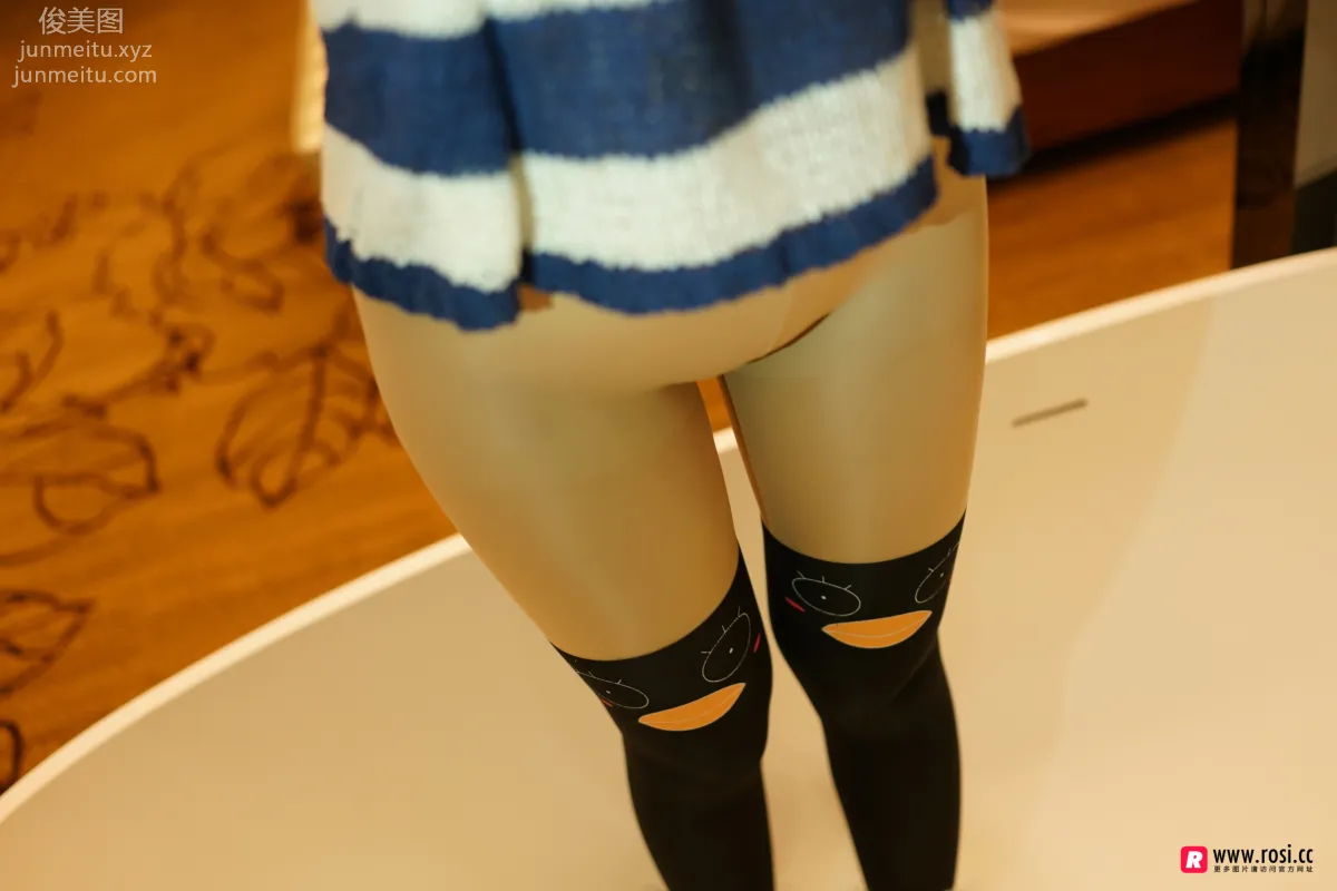 ROSI No. 2303 photo 13
