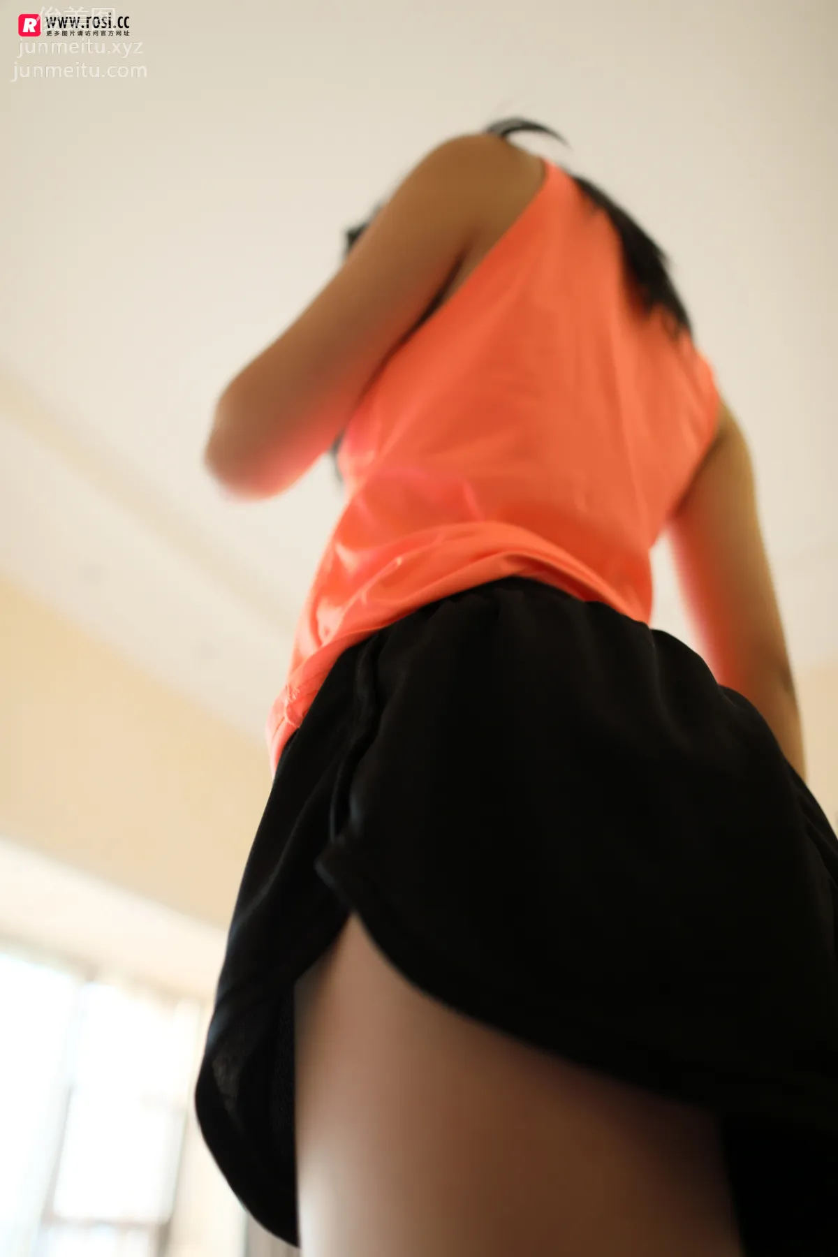 ROSI No. 2311 photo 10