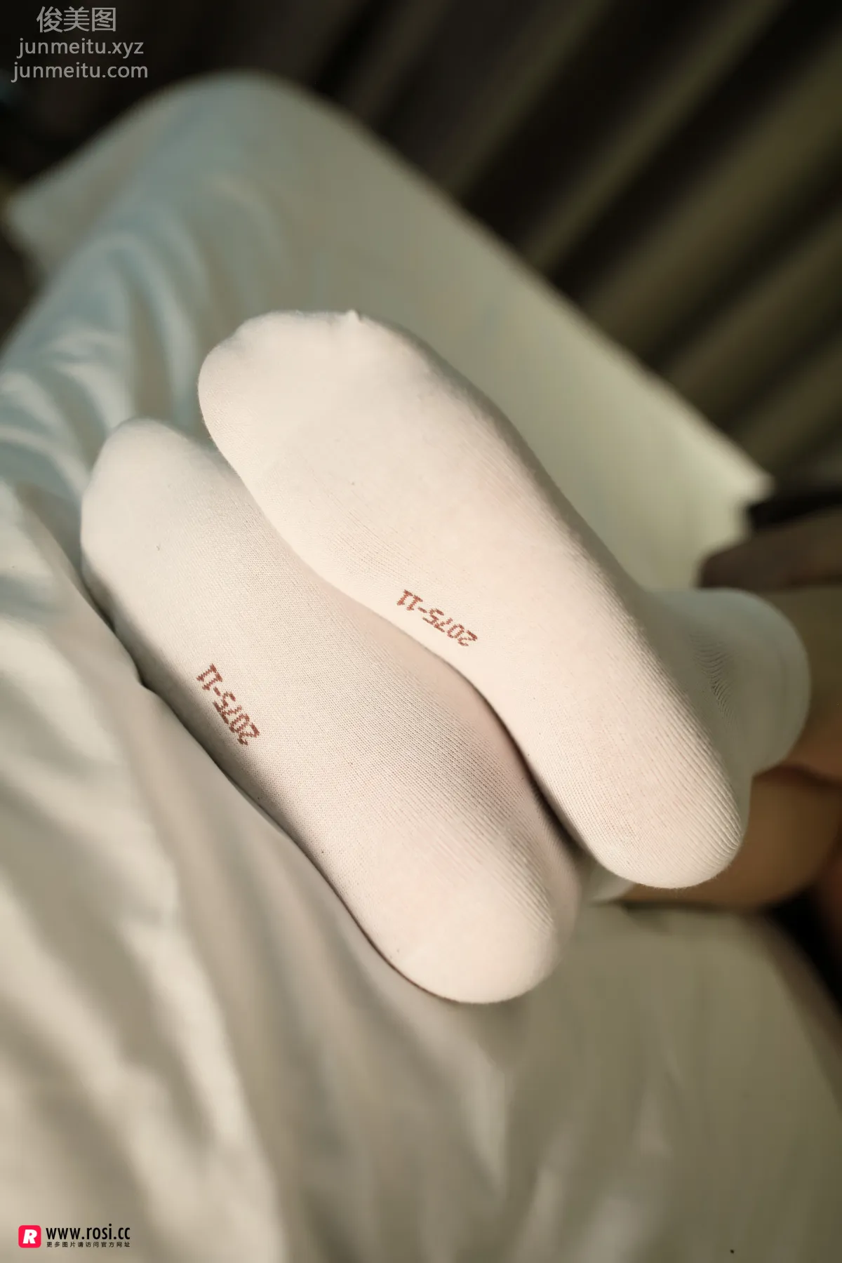 ROSI No. 2337 photo 23
