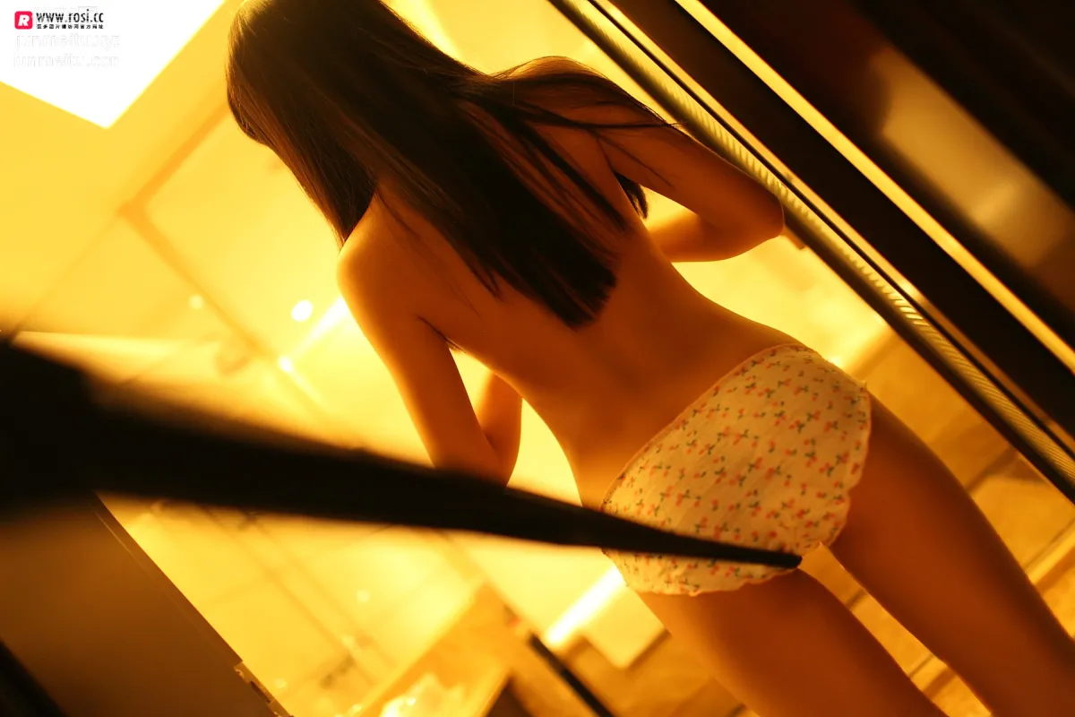 ROSI No. 2514 photo 19