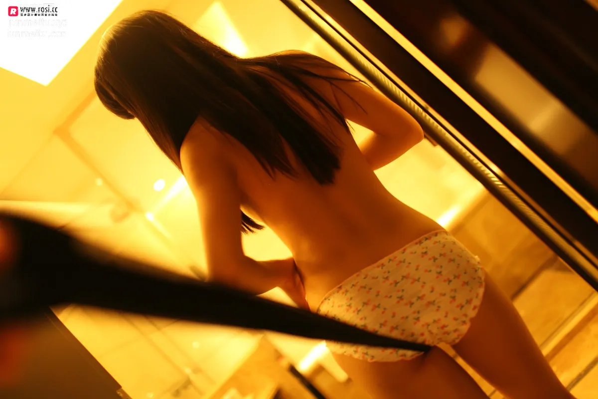 ROSI No. 2514 photo 21