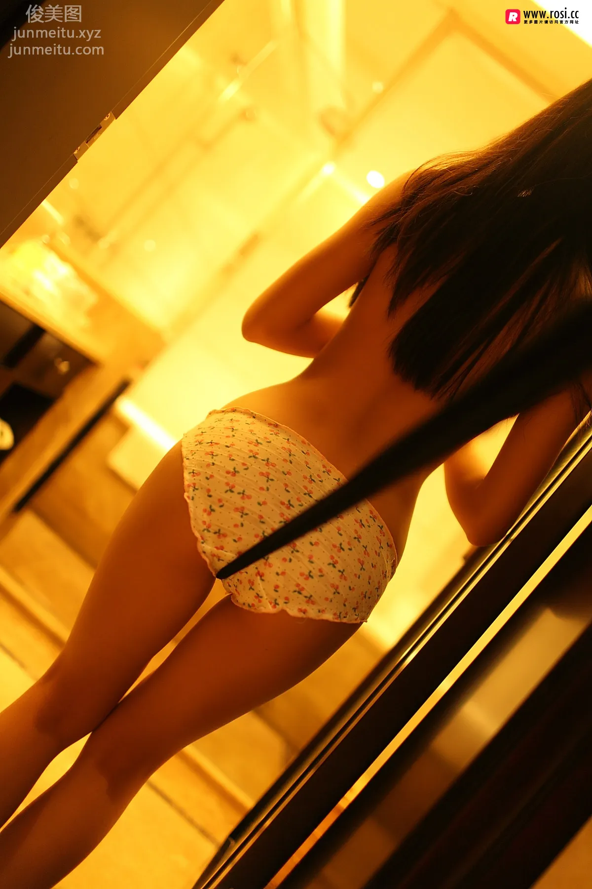 ROSI No. 2514 photo 30