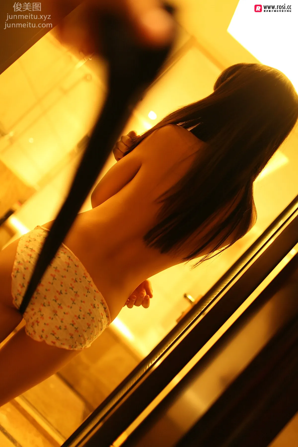 ROSI No. 2514 photo 23