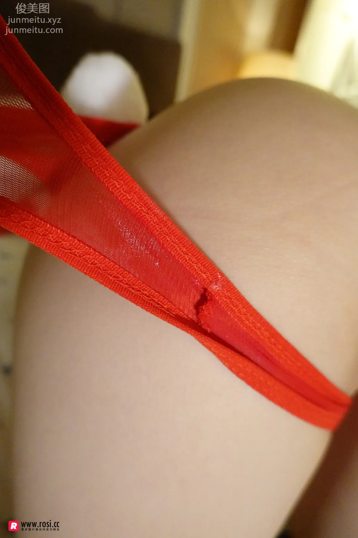 ROSI No. 2523 photo 64