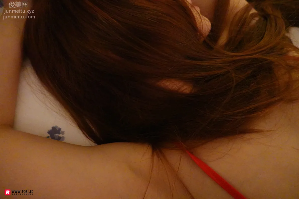 ROSI No. 2523 photo 48