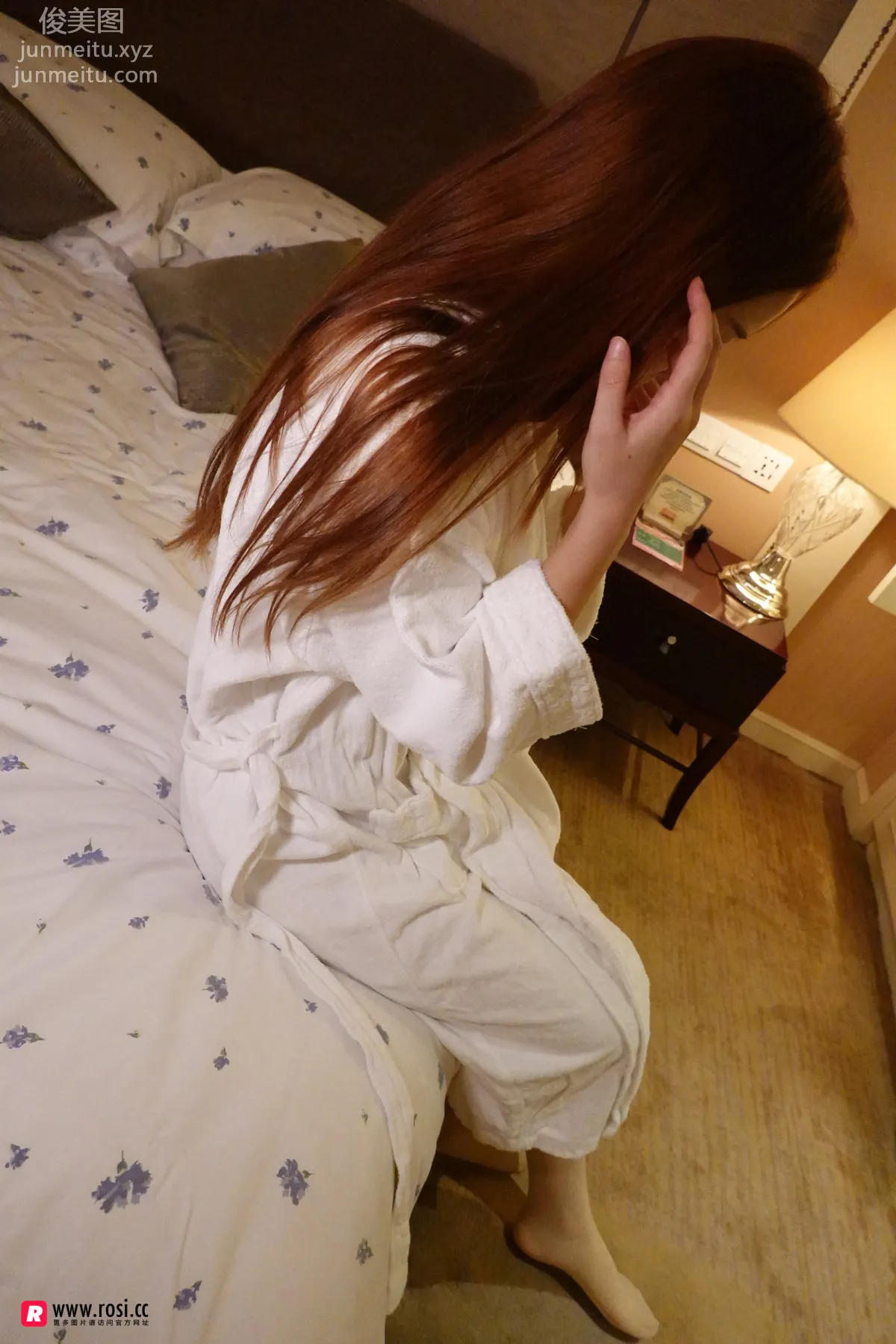 ROSI No. 2547 photo 6