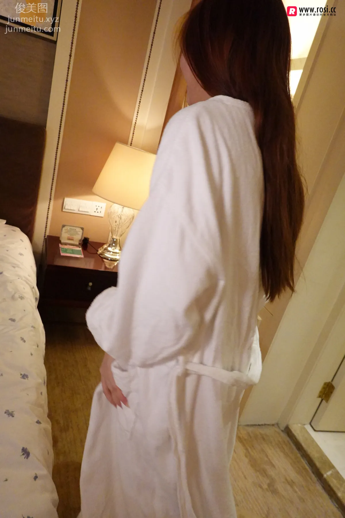 ROSI No. 2547 photo 4