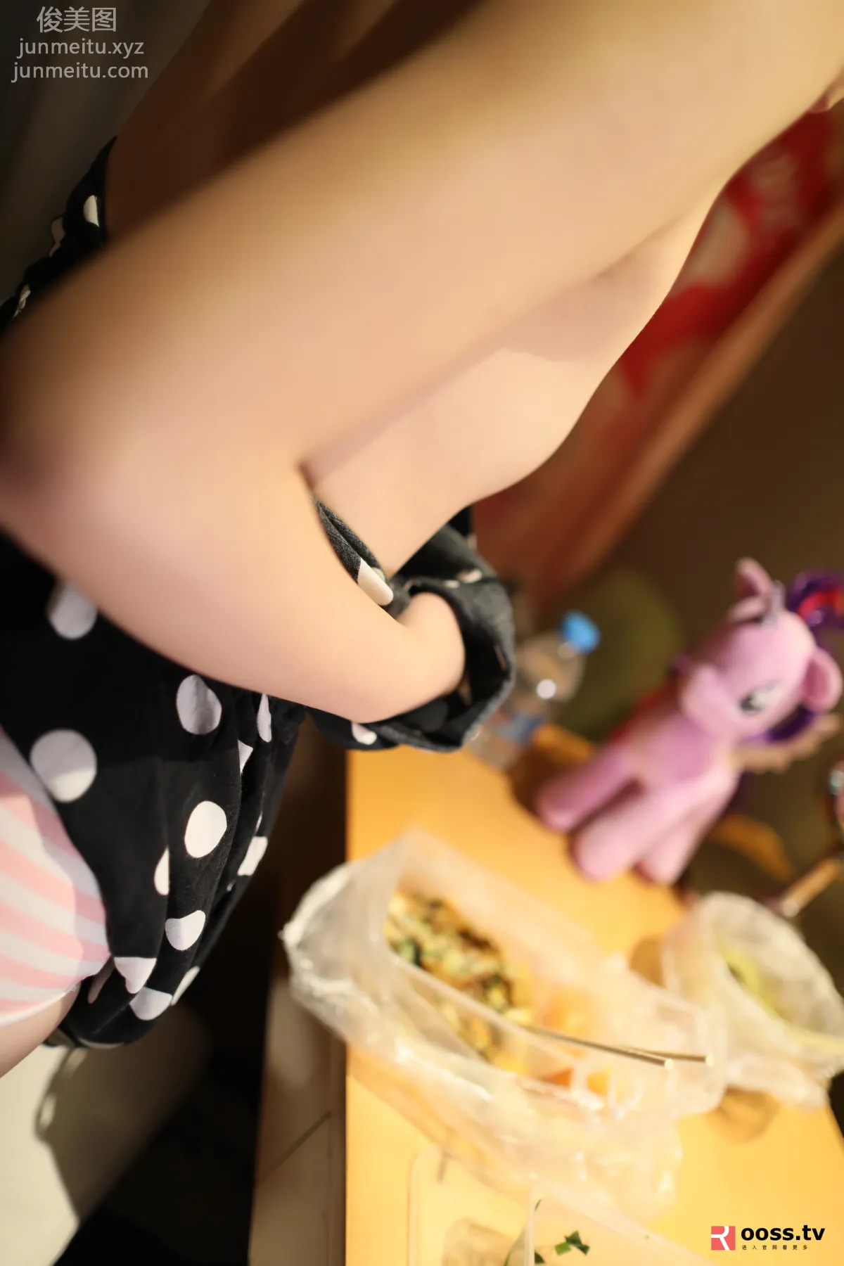 ROSI No. 2832 photo 30