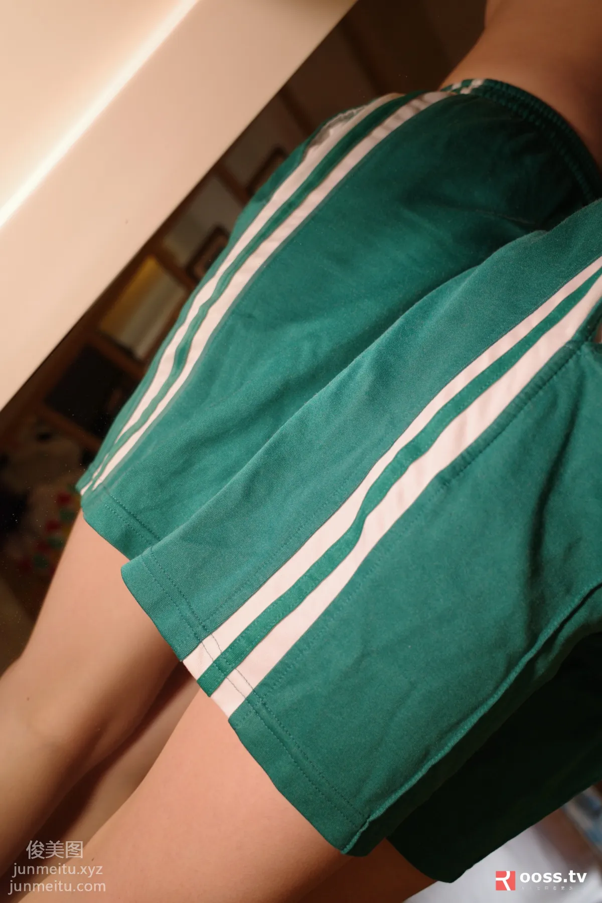 ROSI No. 3005 photo 5